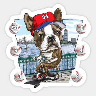 Boston Terrier Dog with Red Baseball Hat Sticker